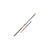 Удилище попл. без кол. Team Salmo POLE 6.00