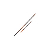 Удилище попл. без кол. Team Salmo POLE 5.00