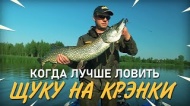 Когда лучше ловить щуку на воблеры крэнки Когда лучше ловить щуку на воблеры крэнки