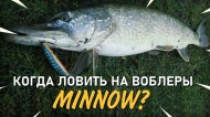 Когда лучше ловить на воблеры минноу? Когда лучше ловить на воблеры минноу?